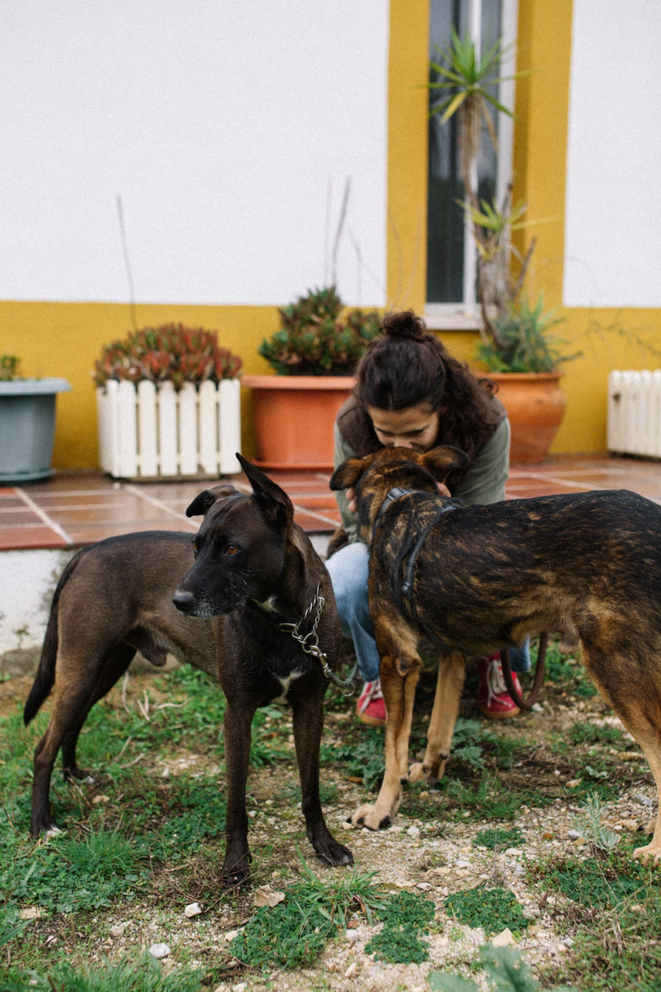 Uma tutora junto de dois cães no jardim
